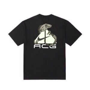 NIKE ACG DRI-FIT IGUANA DRI-FIT PHANTOM T-SHIRT TSHIRT TEE HJ0884-010 Large Men